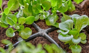 Sistem de Irigare Micro-Drip Gardena 4,6 mm, 10 Bucati, Instalare Fara Coturi - Img 3
