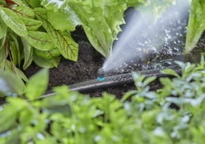 Sistem de Irigare Micro-Drip Gardena, Duza de Pulverizare pentru Suprafate Lungi, 5 Bucati - Img 7