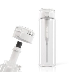 Sticla de Apa Wessper Clarti 680ml cu Filtru Activ, Borosilikat, Transparent