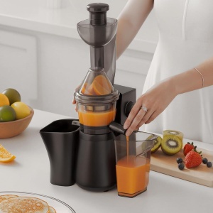 Storcator de fructe H.Koenig GSX24, 400 W, inox, 1L capacitate - Img 2