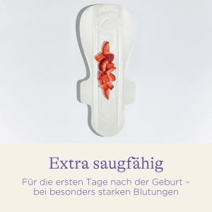 Absorbante postnatale Lansinoh extra absorbante 10 bucati confort si protectie maxima - Img 2