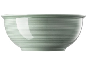 Bol din portelan Thomas Trend Colour Moss Green, 22 cm
