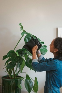 Cearceaf pentru plante Fiskars Urban Plant Care, 18x55 cm, Microfibra, Negru - Img 5