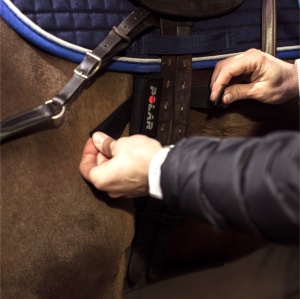 Curea pentru cai Polar Equine H10, 118-162 cm, material textil moale - Img 3