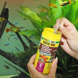 Granulat pentru pesti JBL PRONOVO BEL GRANO, 250 ml, pentru pesti de 8-20 cm - Img 5