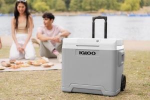 Lada frigorifica electrica IGLOO IE42 42L 12V230V cu maner telescopic si roti Gri - Img 8