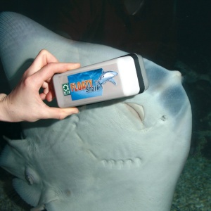 Magnet de curatare pentru acvarii JBL Floaty Shark 61374, cu element interior flotant - Img 2