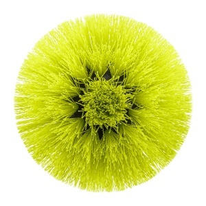 Perie de curatare Ryobi RACLRM110 suprafete multiple diametru 110 mm compatibila cu Ryobi 4V USB Lithium RSCR4
