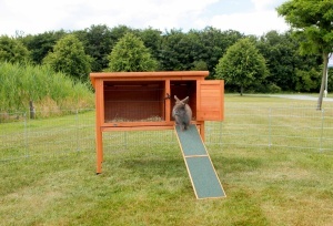Rampe din Lemn TRIXIE 20 50 cm pentru Micile Animalute - Img 2