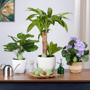 Set 6 Ghiuvete pentru Udat Plante, Relaxdays, Ceramica, TerracottaVerde - Img 5