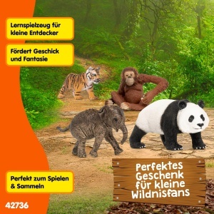 Set de Figurine Schleich WILD Life Asien 42736 4 Piese Panda, Elefant, Tigru - Img 6