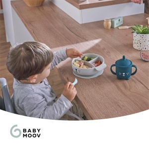 Set de masa pentru bebelusi Babymoov LEARNISY Fuchs - 4 piese din silicon, cu suzeta si laturi ajustabile - Img 7