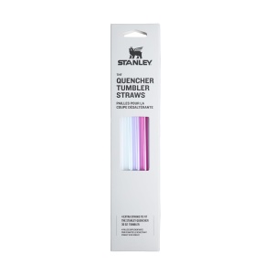 Set de paiuri reutilizabile Stanley pentru Tumbler 0.89L - BPA-free, 4 bucati