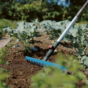 Set de unelte pentru ingrijirea solului Gardena combisystem, 36 cm, cu maner din lemn de 130 cm - Img 3