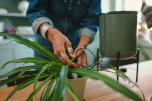 Sistem de autoirigare Fiskars Urban Plant Care, 4,4L, 4 conuri ceramice, verdenegru - Img 4