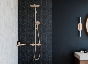 Sistem de dus hansgrohe Raindance Select S 240, 3 tipuri de jet, bronz periat - Img 2