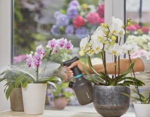Spray de gradina Gardena EasyPump 1 l, cu functie 360, duza din bronz, design transparent - Img 7