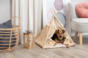Tipi pentru caini si pisici Trixie Boho, 55x65x55 cm, bej, cu perna detasabila - Img 3