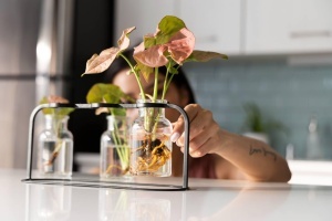 Anzuchtstation pentru plante Fiskars Urban Plant Care, 3 sticle, oliv, metal - Img 3