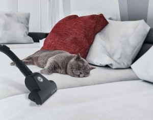 Aspirator Hoover BRAVE BV61PET, 700W, 2.3L, cu duza pentru par de animale - Img 3