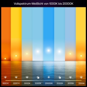 Bec LED inteligent Philips Hue A60, 6W, lumina alba si color, E27, set 2 buc. - Img 2