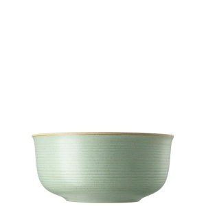 Bol din ceramica Thomas Nature 24 cm Verde