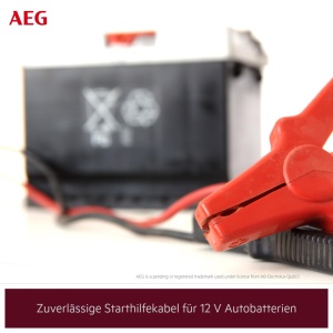 Cabluri de pornire AEG SP 35 Alu-Tec pentru 12V si 24V, 2 x 3,5 m, cu carcasa - Img 3