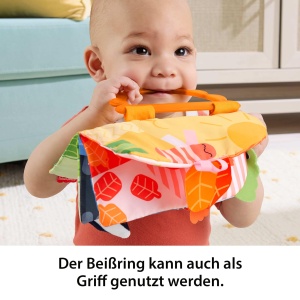 Caiet de Sarbatori Fisher-Price cu Activitati Sensoriale pentru Bebei - Img 4