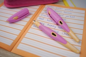 Capac pentru stiloul ergonomic STABILO EASYbirdy - Editie Pastel, cu clip - Img 2