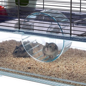 Cusca hamster Ferplast cusca rozatoare FAVOLA cusca pentru animale mici accesorii hamster incluse 60 x 37 x h 30 cm - Img 5