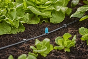 Duza de irigare Gardena Micro-Drip, pentru suprafete mici, ajustabila 10-40 cm - Img 3