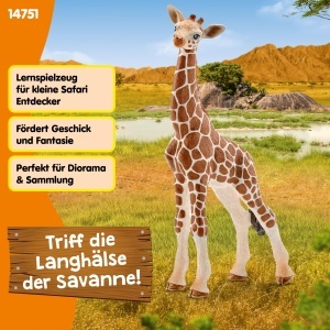Figurina Giraffe Baby Schleich 14751 7 x 4 x 12 cm Pentru copii de la 3 ani - Img 6