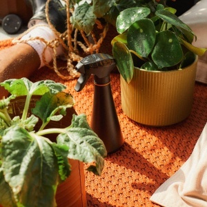 Fiskars Pulverizator 03L NegruPortocaliu 1071306 pentru plante sensibile - Img 7