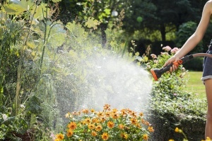 Gardena Profi-System Spritz-Brause 2847-20 Reglare Jet Apa Ideala pentru Gradina - Img 3