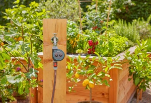 Gardena Water Control Easy Plus, temporizator de irigare - Img 3