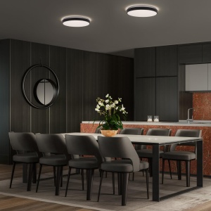 Lampa de tavan LEDVANCE ORBIS LONDON, 400mm, 24W, neagra - Img 2