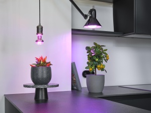 Lampa LED pentru plante Osram Star Grow T80, 20W, E27, lumina alba - Img 2