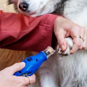 Masina de slefuit unghii pentru animale Dremel 7350-PET 36V silentioasa cu acumulator si accesorii incluse - Img 8