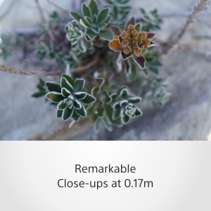 Obiectiv Sony E 15 mm F1.4 G - Ultra-Weitwinkel, F1.4, pentru Vlogging - Img 6
