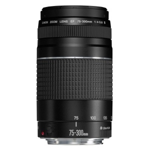 Obiectiv telezoom Canon EF 75-300mm F4.0-5.6 III, 58mm, negru - Img 2