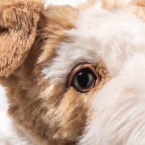 Plus de Jucarie Steiff Foxy Foxterrier 32cm, Culoare Creme, Negru si Lapte - Img 6
