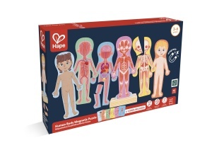 Puzzle magnetic Hape Corpul Uman 63 piese baza din lemn educativ pentru copii - Img 8