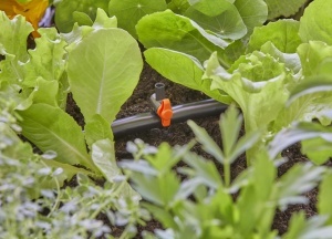 Regulator de Flux Gardena Micro-Drip-System 5 Bucati - Img 2