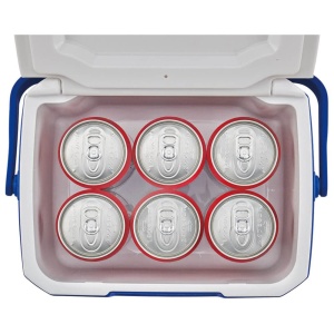 Rucsac racire Coleman 5QT, 4.7 litri, pentru 6 doze, izolare PU - Img 2