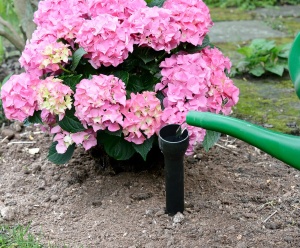 Set 6 Piese Ajutoare de Udat Plante Maximex, Plastic Robust, 5,5x30cm - Img 2