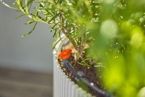 Set de Irigare prin Picurare Gardena Micro-Drip-System 15 Plante, Usor de Instalare, Economisire Apa - Img 7