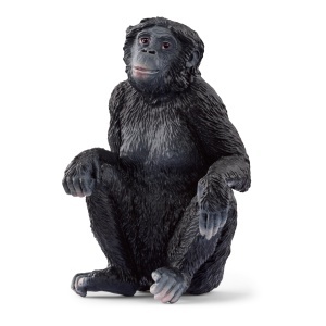 Set Figurine Animale Salbatice Schleich 72286 - 5 Piese, pentru copii de la 3 ani - Img 8