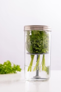 Set recipient pentru plante aromatice Kilner, 1 l, cu capac din inox si suport din silicon - Img 9