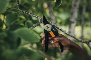 Set unelte gradinarit Fiskars 4 piese, Xact Unkrautstecher, Solid Kombihacke, Solid Blumenkelle, Solid Bypass-Gartenschere P121 - Img 4