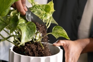 Set unelte pentru ingrijirea plantelor Fiskars Urban Plant Care, 3 piese, otel inoxidabil, oliv - Img 7